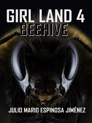 cover image of Girl Land 4